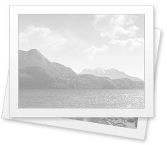 New support channel - Telegram